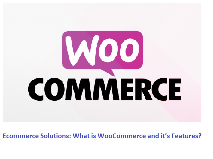 Ecommerce Solutions: What is WooCommerce and it’s Features?