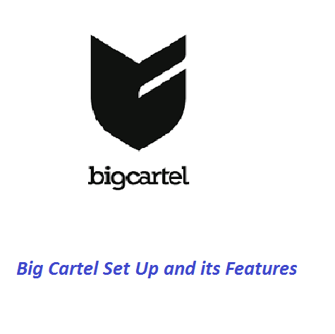 Big Cartel development services pune