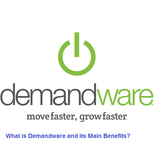 Demandware Commerce Services pune