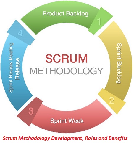 Scrum Methodology Development, Roles and Benefits